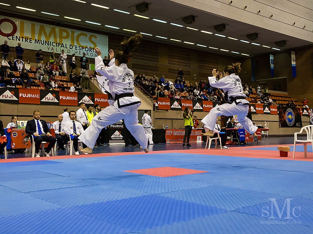 OPEN BARCELONA FUJI MAE CUP 2017_DSC9319_0218.JPG